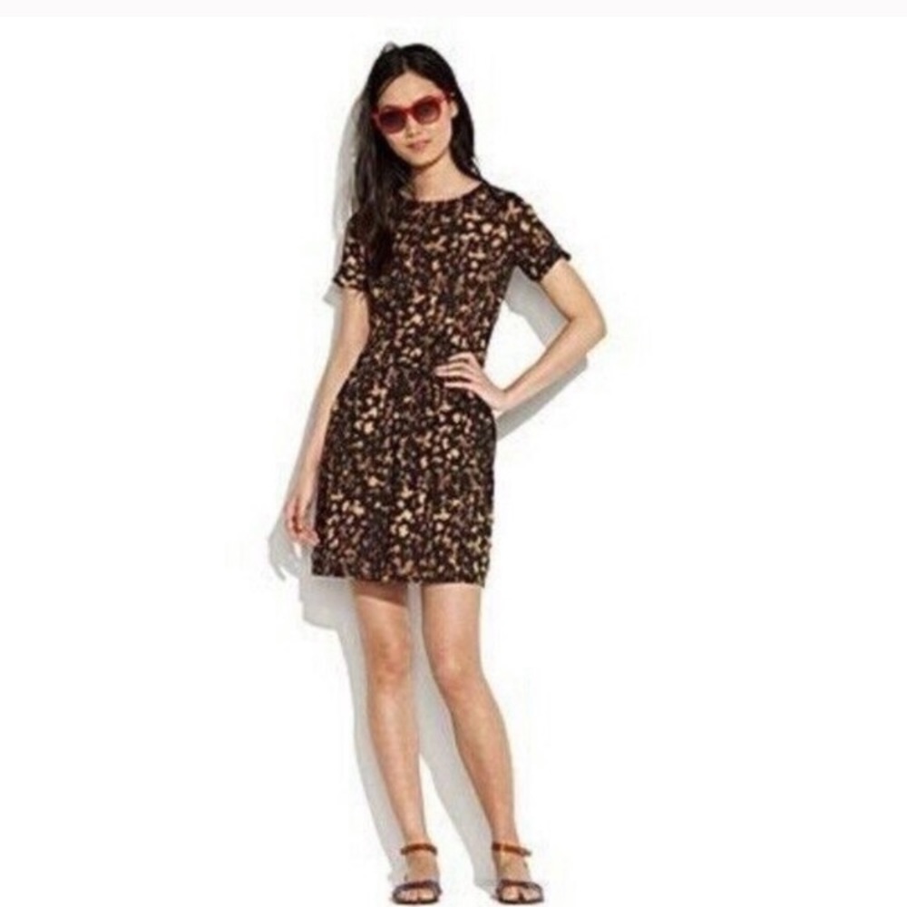 Broadway & Broome Spots Shadow Songbird Dress